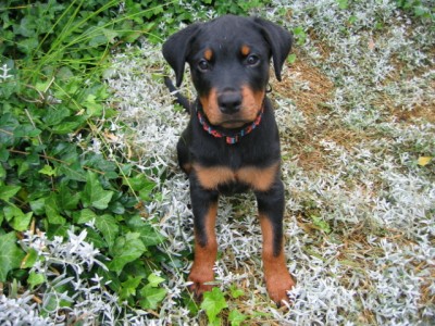 IMG_0002.JPG (293.72 KiB) 5679-mal betrachtet IMG_0002.JPG