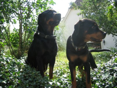 IMG_0009.JPG (238.61 KiB) 5676-mal betrachtet IMG_0009.JPG