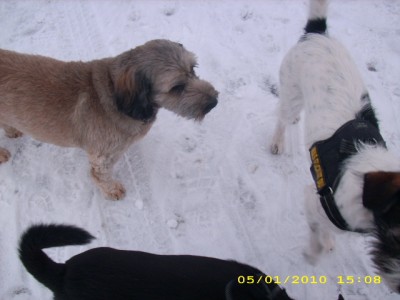 max u. fenja 006.jpg