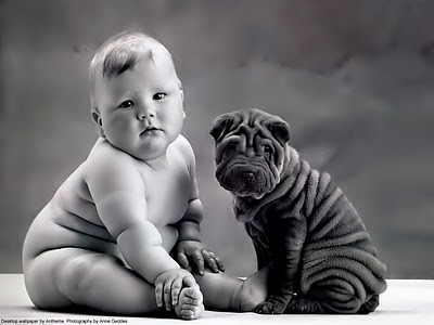 Anne_Geddes_wall_anth08.jpg