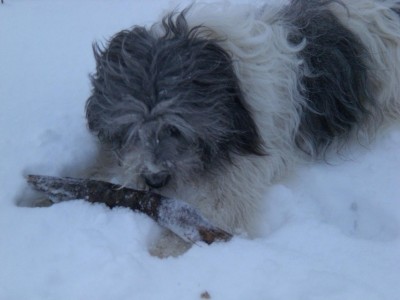 Spaziergang 21.12.2009 064.JPG