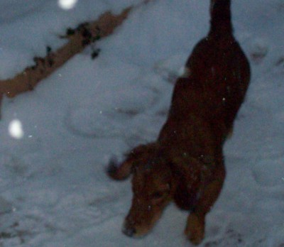 100_2959.JPG