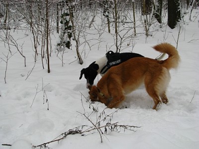 forumtreffen_6.jpg (180.14 KiB) 5357 mal betrachtet Da war doch was... Moment... da, schnell...