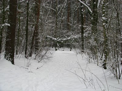 forumtreffen_7.jpg (202.31 KiB) 5353 mal betrachtet So tollen Schnee hatten wir schon lange nicht mehr in Berlin.