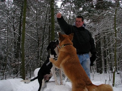 forumtreffen_12.jpg (212.63 KiB) 5358 mal betrachtet Kiara kennt ihre eigenen Wege, um schneller zum Leckerli zu kommen.