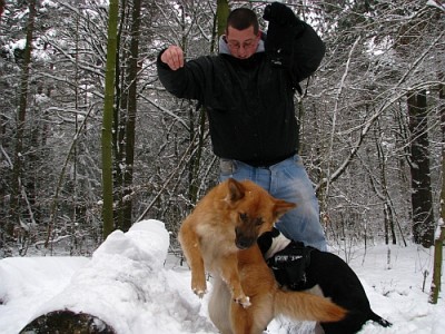 forumtreffen_13.jpg (213.07 KiB) 5353 mal betrachtet Kiara haltlos und Higgins kopflos.