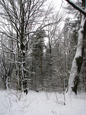 forumtreffen_14.jpg (396.76 KiB) 5357 mal betrachtet Suchbild: Wo ist Higgins?