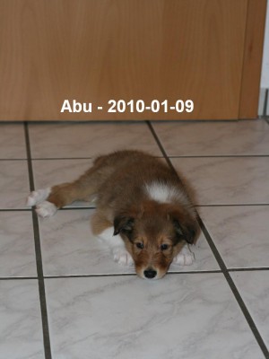 2010-01-09 Abu 44.Tag (14)_Beschriftet.JPG
