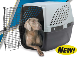 petsuitehero[1].jpg