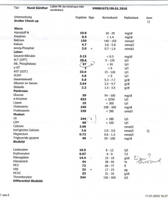 Befund Blutuntersuchung wg Durchfall.BARF I.jpg (118.5 KiB) 4840-mal betrachtet Befund Blutuntersuchung wg Durchfall.BARF I.jpg