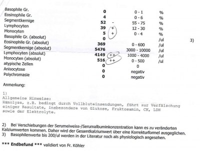 Befund Blutuntersuchung wg Durchfall.BARF II.jpg (74.68 KiB) 4840-mal betrachtet Befund Blutuntersuchung wg Durchfall.BARF II.jpg