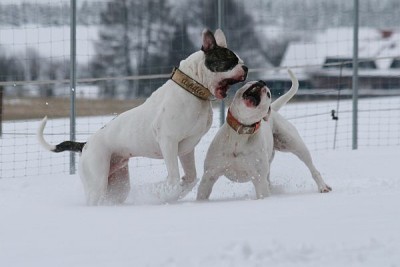 IMG_8116.jpg