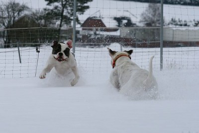 IMG_8130.jpg