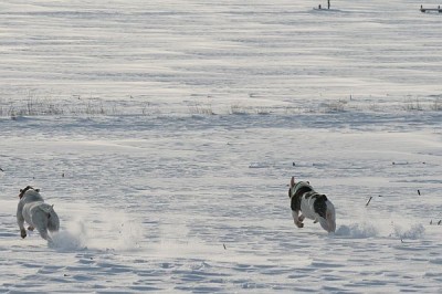 IMG_8306.JPG