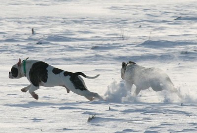 IMG_8311.JPG