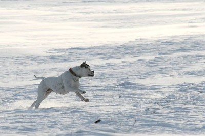IMG_8317.JPG