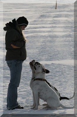 IMG_8387.JPG