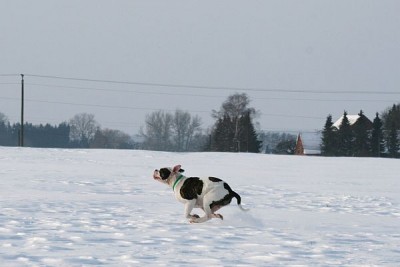 IMG_8418.JPG