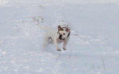 IMG_8480.JPG