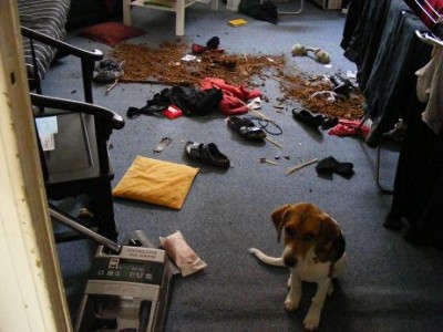 DSCF2820.JPG (41.17 KiB) 3461-mal betrachtet DSCF2820.JPG