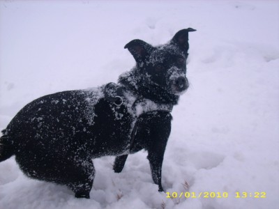 ferdl, alaska, bella u. ich 013.jpg