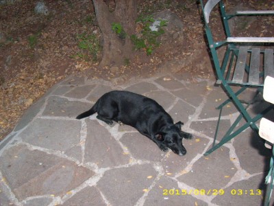 elba-urlaub 2009 038.jpg