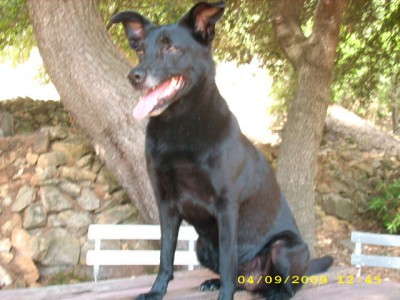 elba-urlaub 2009 085.jpg