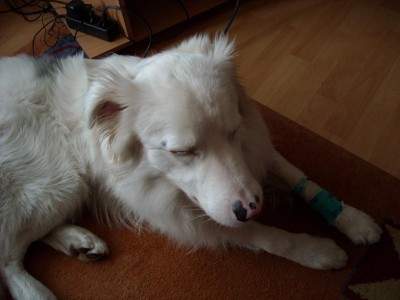 DSCN0619.JPG