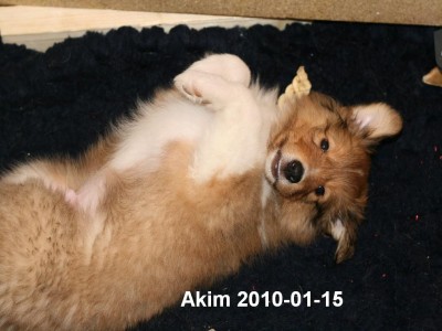 2010-01-15 Akim 50.Tag (3)_Beschriftet.JPG