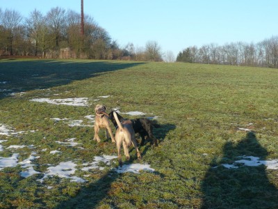 P1050850 - Kopie.JPG