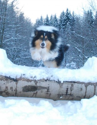 2010_01_16_Cynthia_DSC_5716.jpg