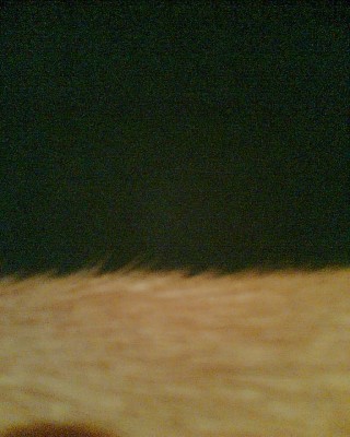 Bild009.jpg