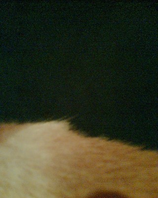 Bild014.jpg