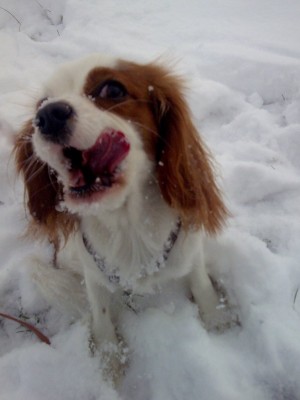 13 Bild012.jpg (82.66 KiB) 2626-mal betrachtet 13 Bild012.jpg