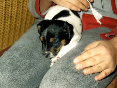 IMAG0091.JPG