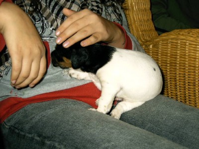IMAG0093.JPG