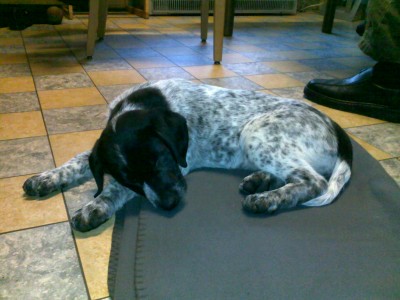 Luna3 001.jpg (323.51 KiB) 2931-mal betrachtet Luna3 001.jpg