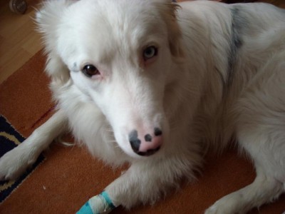 DSCN0618.JPG