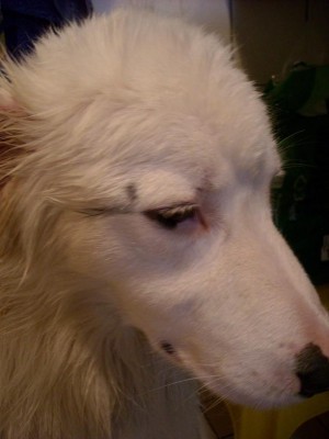 DSCN0833.JPG