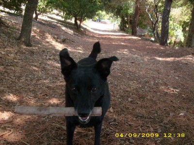elba-urlaub 2009 075.jpg