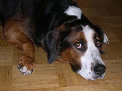 DSCN0506.JPG
