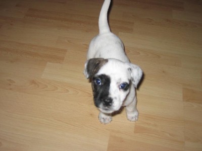 10-05peggy.JPG