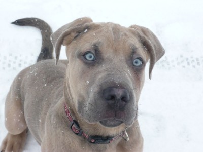 2009_0213lenny0001 - Kopie.JPG