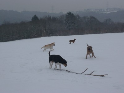 P1060013 - Kopie.JPG