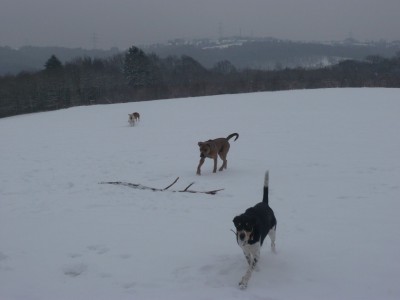 P1060015 - Kopie.JPG