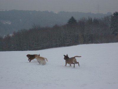 P1060024 - Kopie.JPG
