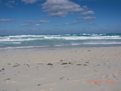 CIMG0064.JPG