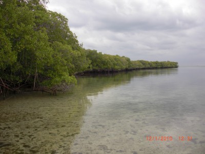 CIMG0072.JPG