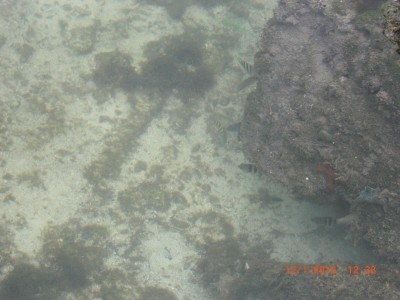 CIMG0073.JPG