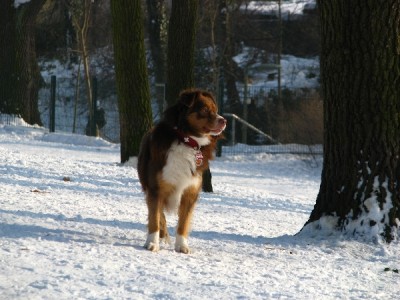 2010 02 17 001.jpg